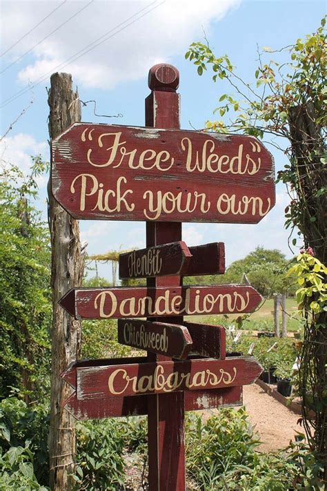 37+ Creative & Funny Garden Sign Ideas For 2024 | Funny garden signs, Diy garden projects ...