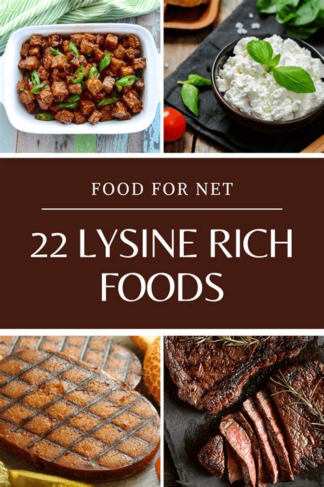 22 Lysine Rich Foods That You Can Eat Regularly | Food For Net