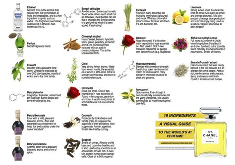 Visual Ingredients: Chanel No. 5 : chemistry