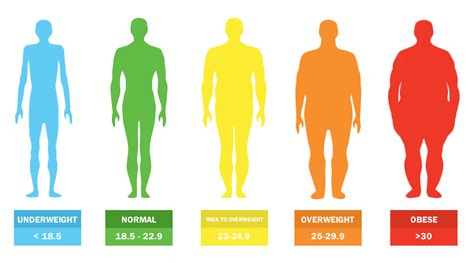 Body mass index (BMI) – Nutrition Division