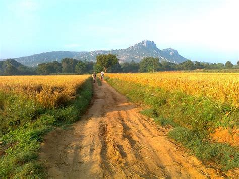 Madanapalle Photo by venkateswara | 7:33 am 14 Dec 2011