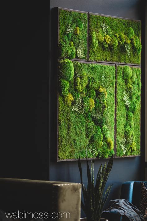 58x58" Real Preserved Moss Wall Art Green Wall Collage No Sticks. No care green wall art. Real ...