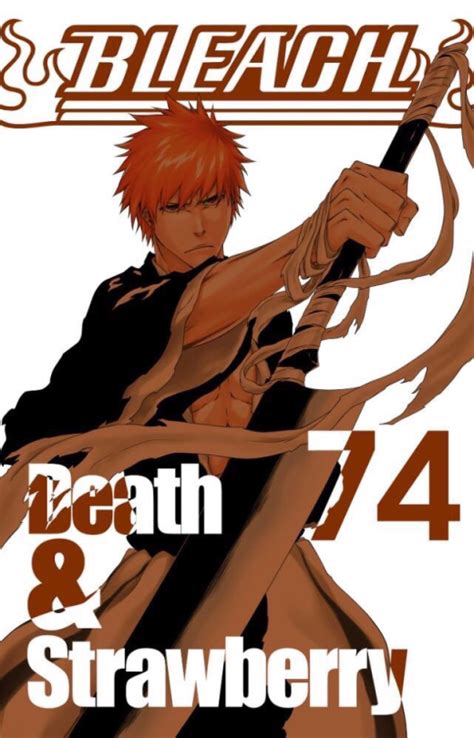 Revelada a última capa do mangá de Bleach