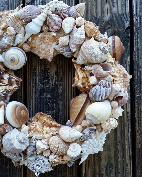 Shell Wreath Sea Shell Wreath Beach Wreath - Etsy