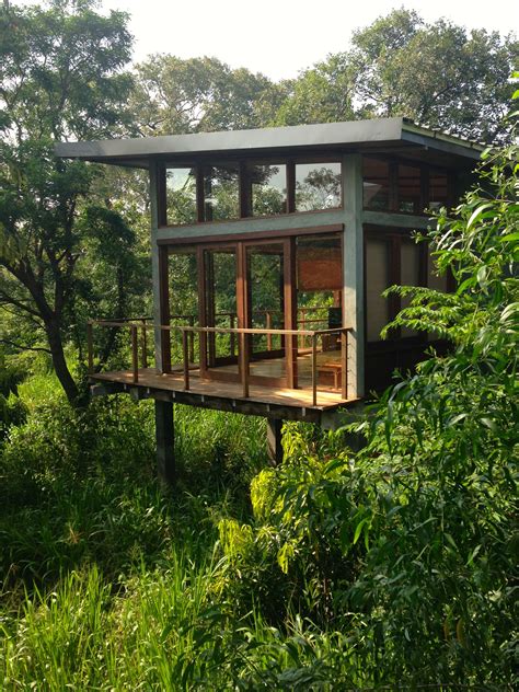 house in the jungle - Google Search | Maison sur pilotis, Maison bois, Architecture de maison