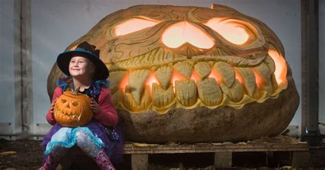 Time lapse video: Watch amazing carving of the world's largest pumpkin ...