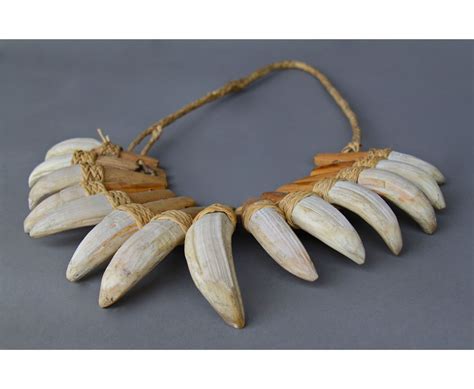 Wild Boar Tusk Necklace…