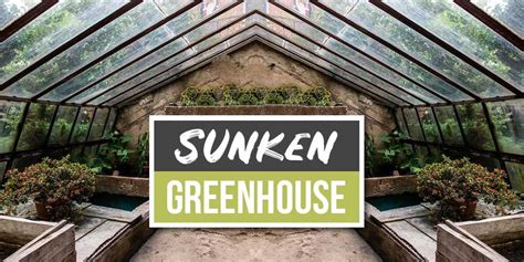 Sunken Greenhouse: The Solution To Plant Year Round - The Tiny Life in 2023 | Greenhouse ...