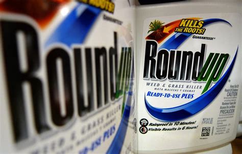 Monsanto Results Clouded by S.E.C. Inquiry - The New York Times