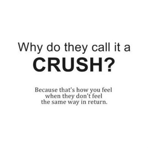 24 Love Quotes Crushes Cute 21 | Like you quotes, Crush quotes, How are you feeling