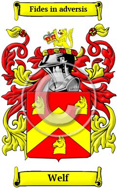 Welf Name Meaning, Family History, Family Crest & Coats of Arms