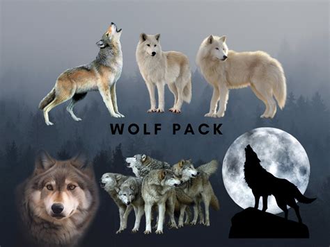 Wolf Pack PNG Clip Art Wolves Sublimation Design Wolf Digital - Etsy