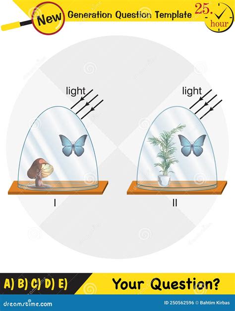 Physics, Joseph Priestley`s Experiment, Photosynthesis Phenomenon Of Plant Experiment Royalty ...