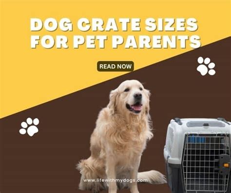 Dog Crate Sizes For Pet Parents - Life With My Dogs