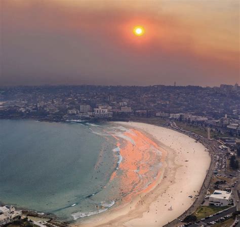 Sydney Weather: Extreme Heat And Bushfires Forecast | Sydney Things