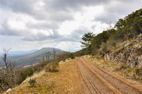 Mountain trail in a Mediterranean forest — Stock Photo © lrpizarro #127334690