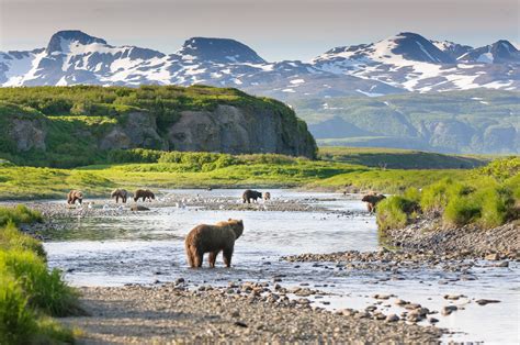 Get to Know All Eight Awe-Inspiring National Parks in Alaska