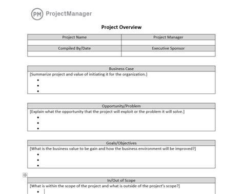 Project Overview Template for Word (Free Download)