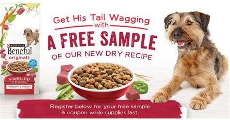 Unleash the Flavor: Top 10 Dog Food Samples Free with Reviews and Buying Guide - Furry Folly