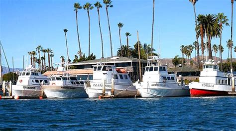 Ventura Harbor Sportfishing - GoFish