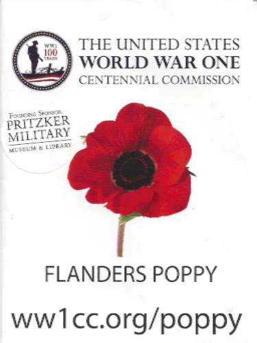 Content in a Cottage: FLANDERS POPPY SEEDS for Sale