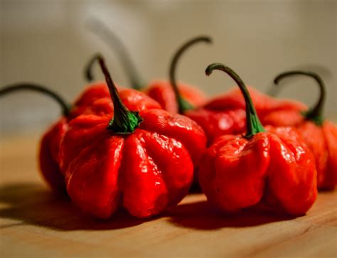 Carolina Reaper Hot Sauce Make and Bottle It - Magic Plant Farms