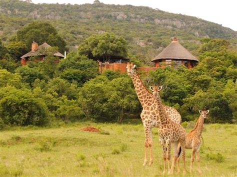 self-drive trip into Limpopo, South Africa | Responsible Travel