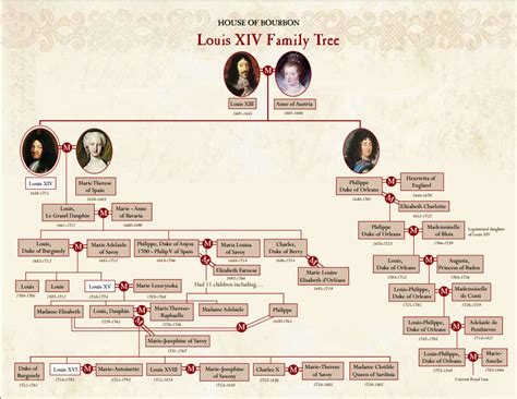 Pin by Christos Alexiou on History Facts | Louis, Family tree, Louis xiv