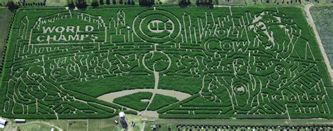 Richardson Adventure Farm's 2017 Cubs Corn Maze in Spring Grove ...