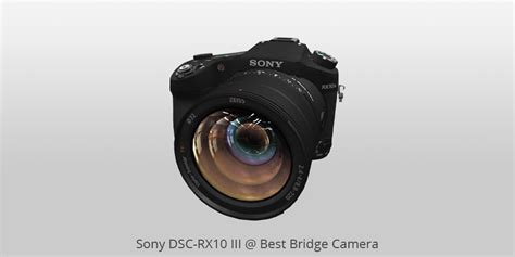 15 Best Bridge Cameras in 2019 - What Is the Best Superzoom