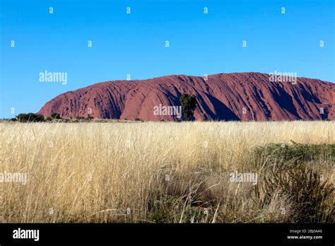 View of Uluru, in the Uluṟu-Kata Tjuṯa National Park, Northern Territory, Australia Stock Photo ...