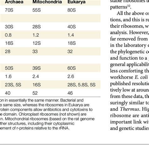 (PDF) The bacterial ribosome as a target for antibiotics