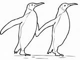 Adelie Penguin Coloring Page At GetColoringscom  Free Printable sketch template
