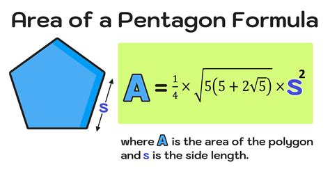 Area of a Pentagon Calculator — Mashup Math