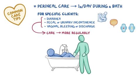 Personal hygiene: Perineal care - Osmosis Video Library