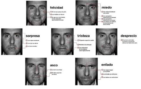 Paul Ekman y las microexpresiones | Mente Informatica