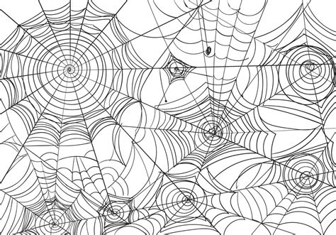 Black And White Spiderweb Vector Illustration 137689 Vector Art at Vecteezy