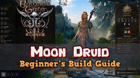 The Ultimate Beginner's Moon Druid Build Guide for Baldur's Gate 3 - YouTube