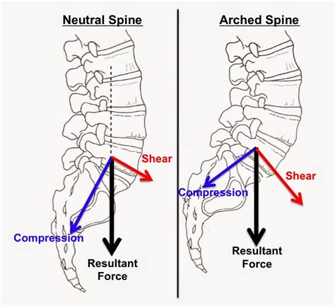 Spine Flexion Degrees