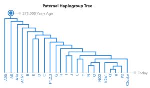 The Paternal-Line Story Written In Your DNA - 23andMe Blog