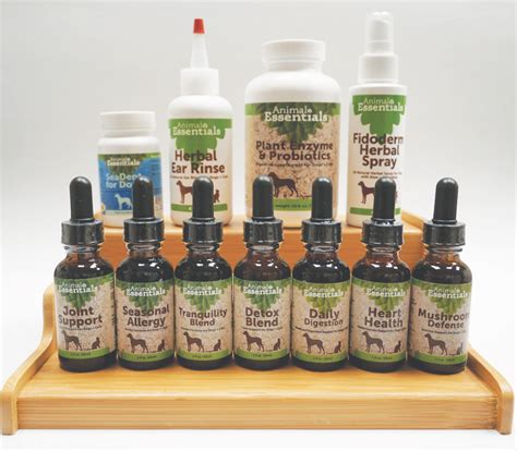 Wellness Pet Supplies – Ashland Oregon LocalsGuide