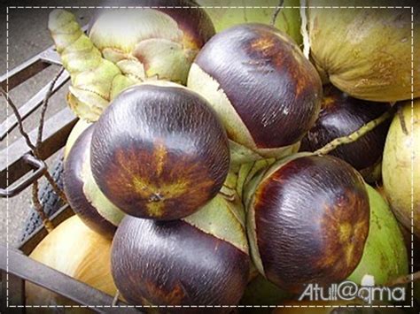 Cerita 'Daku' ...Kisah 'Kamu': Minum petang bersama 'Chestnut' @Buah Berangan...