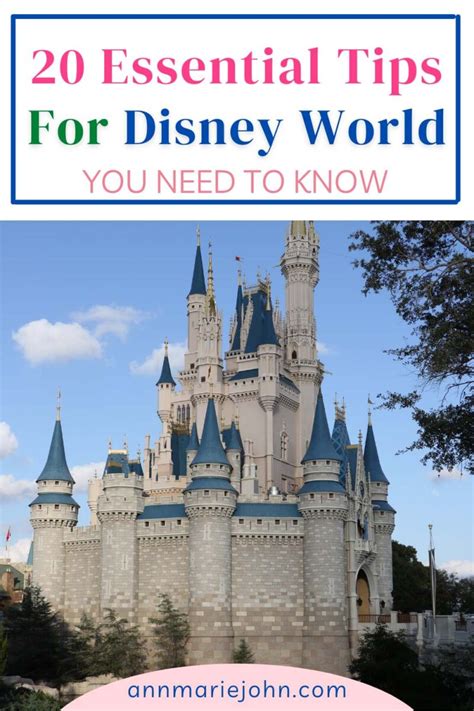 Disney World Tips You Need to Know - AnnMarie John