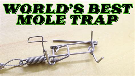 Worlds Best Mole Trap Overview - YouTube