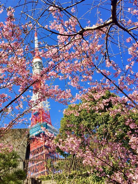 Tokyo Tower : r/japanpics