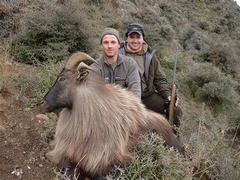 New Zealand | Professional Big Game Hunting Guide JR Hunting