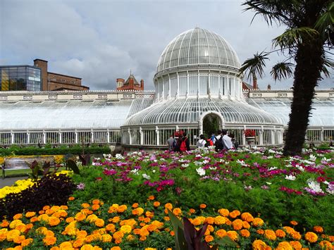 Belfast Botanic Gardens Fight | Fasci Garden