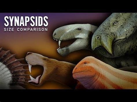 SYNAPSIDS: Prehistoric Mammal-like Reptiles. Size comparison. Paleoart ...