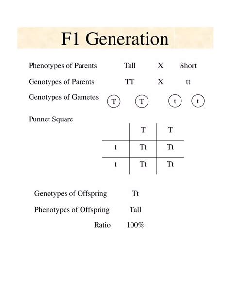 PPT - F1 Generation PowerPoint Presentation, free download - ID:6536013