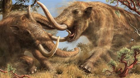 This Newly Discovered Mastodon Species Roamed California for Millions ...